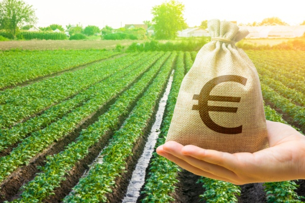 Illustration de l'article Taxe foncière sur les terres agricoles : une exonération déjà en hausse ?