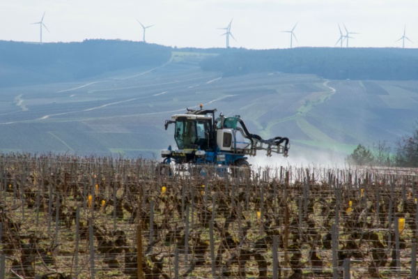 Illustration de l'article Certiphytos : une durée de validité prorogée d’un an ?
