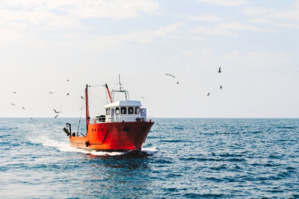 Illustration de l'article Exonération partielle d’impôt sur le revenu des marins pêcheurs : pour quel montant ?