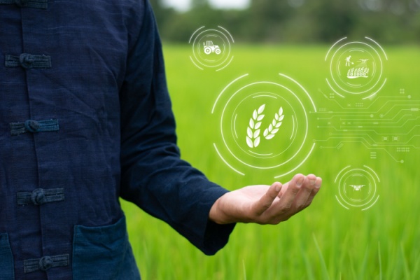 Illustration de l'article Agriculture : un droit à l’essai effectif !