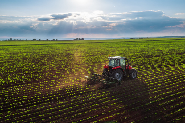 Illustration de l'article Artificialisation des terres agricoles : la faute à la pression fiscale ?