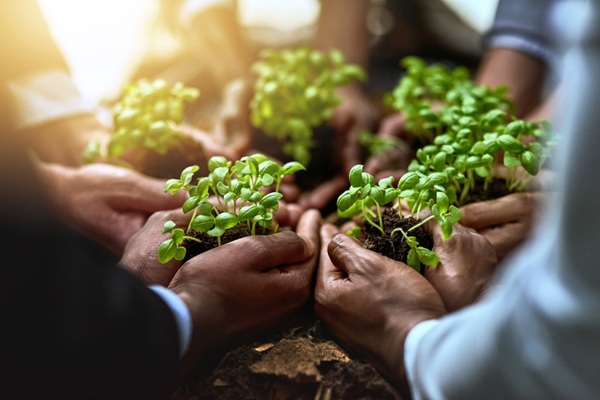 Illustration de l'article Soutien aux exploitations agricoles en difficultés : des aides possibles