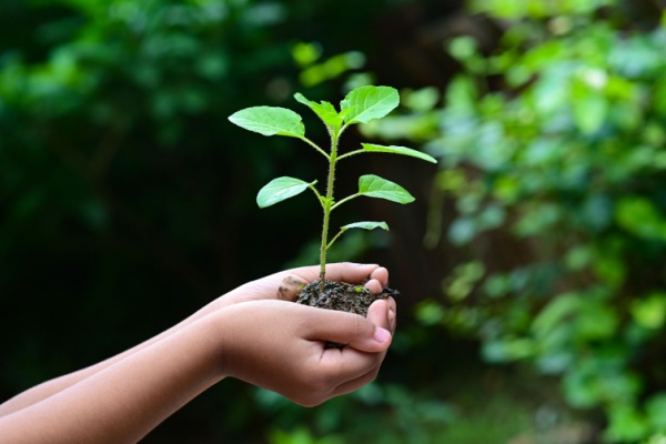 Illustration de l'article CSRD : comprendre pour mieux se préparer