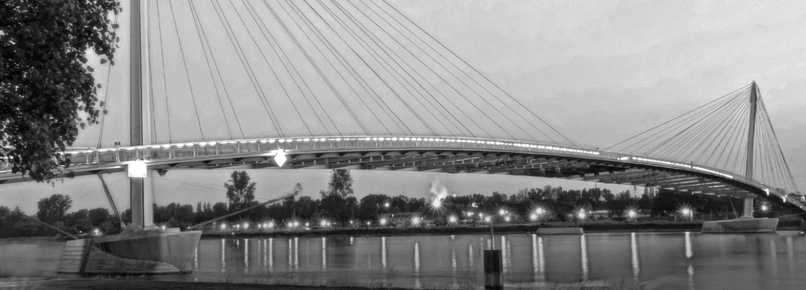 Photo de la passerelle Mimram ou passerelle des Deux Rives est une passerelle pour piétons et cyclistes qui relie les deux parties du jardin des Deux Rives situées de chaque côté du Rhin, entre la ville française de Strasbourg et la ville allemande de Kehl.